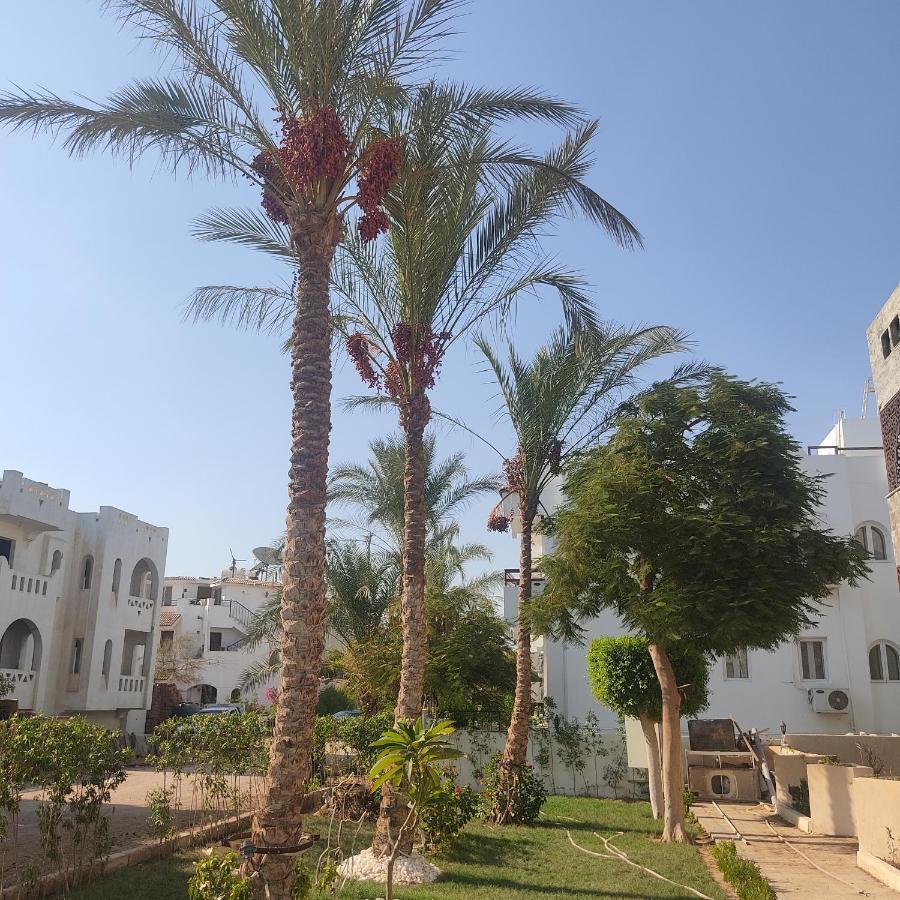 Villa Silia Шарм ел-Шейх Екстериор снимка